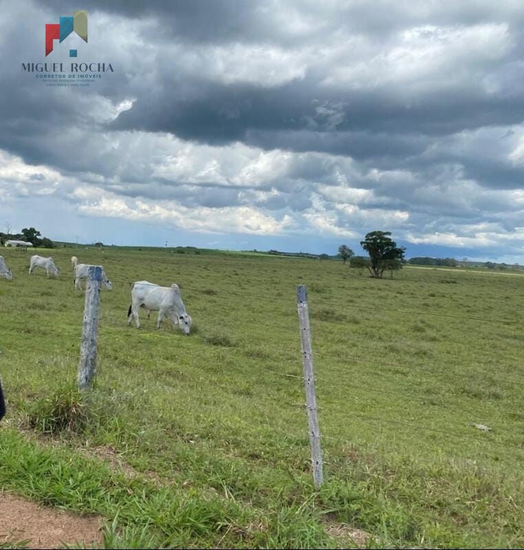 Fazenda região de Avaré SP - foto 20