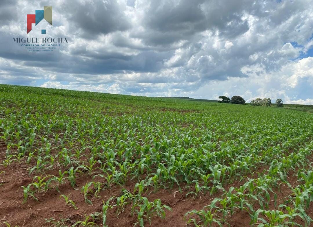 Fazenda região de Avaré SP - foto 12