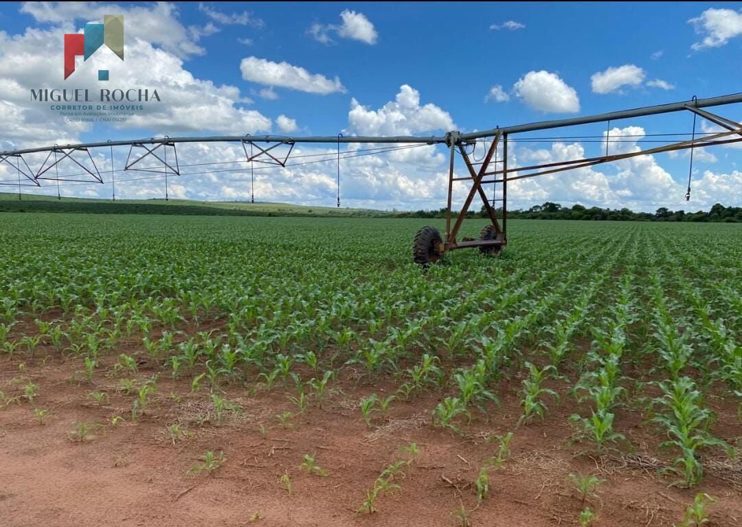 Fazenda região de Avaré SP - foto 6