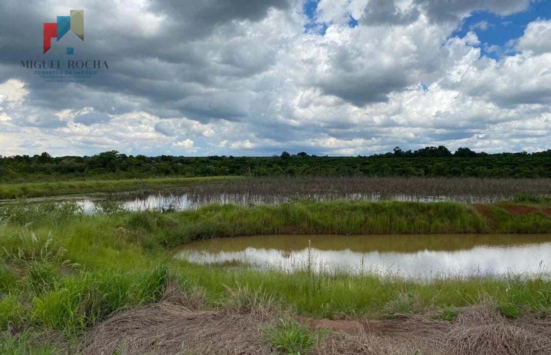 Fazenda região de Avaré SP - foto 21