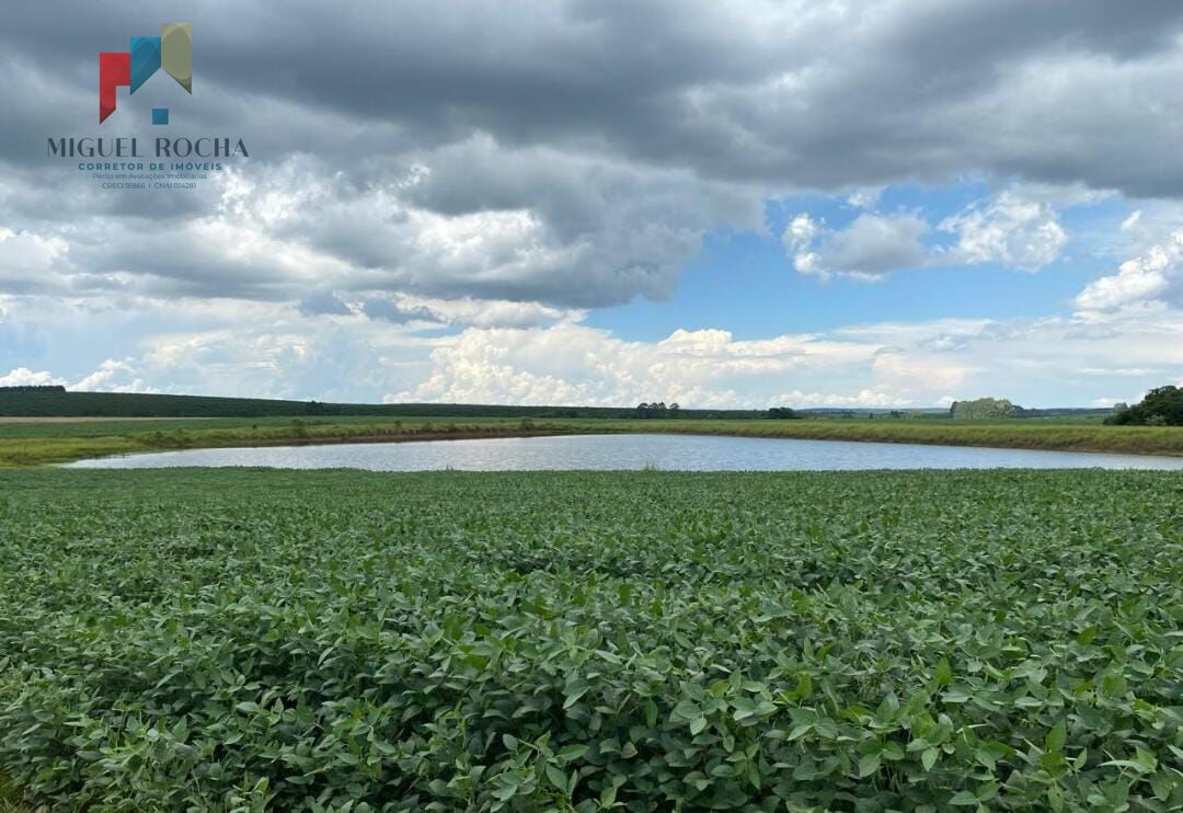 Fazenda região de Avaré SP - foto 4