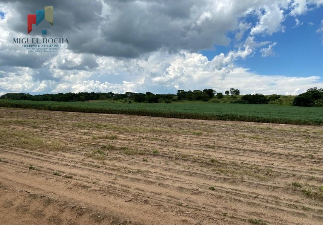 Fazenda região de Avaré SP - foto 8