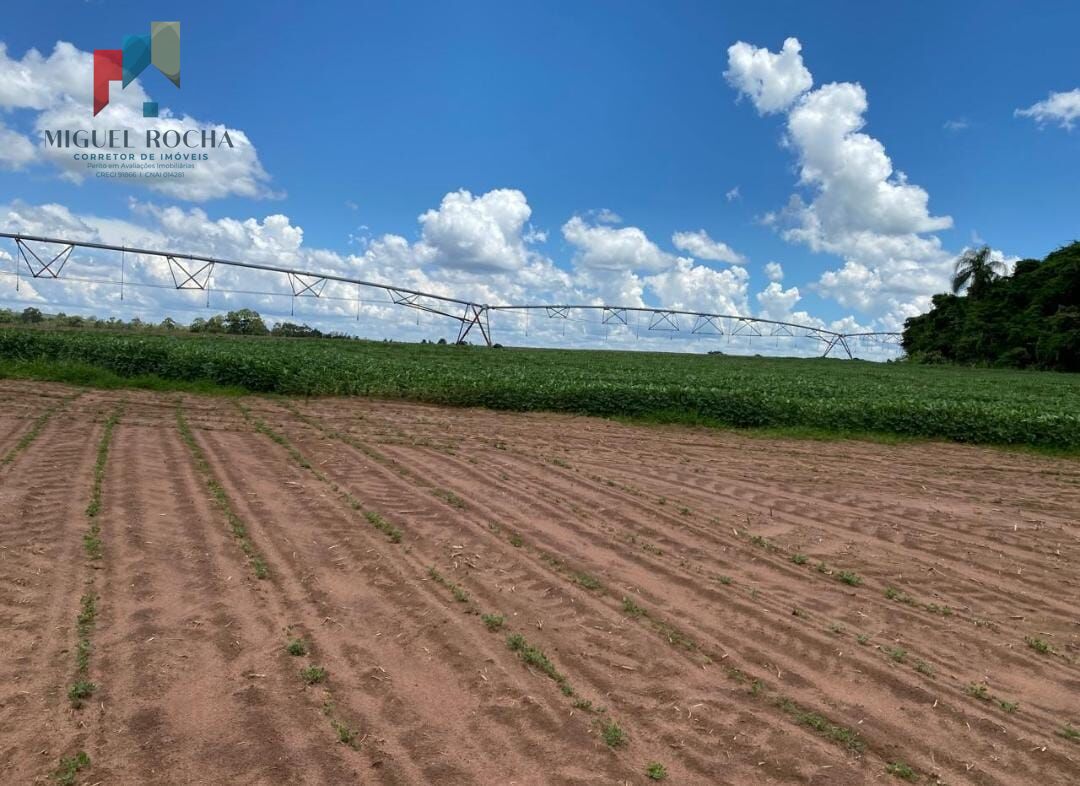 Fazenda região de Avaré SP - foto 19