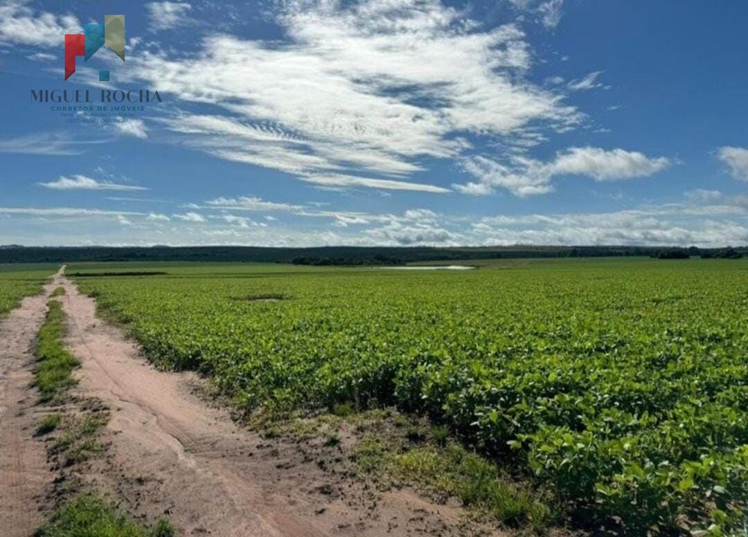 Fazenda região de Avaré SP - foto 25