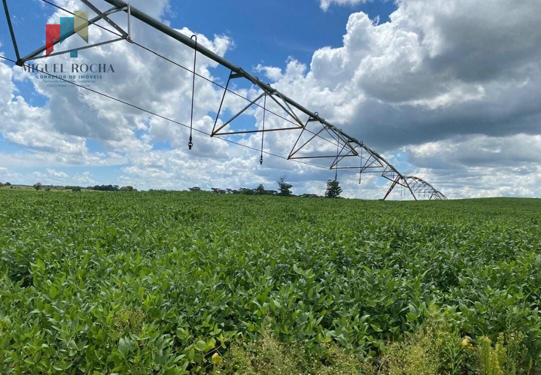 Fazenda região de Avaré SP - foto 5
