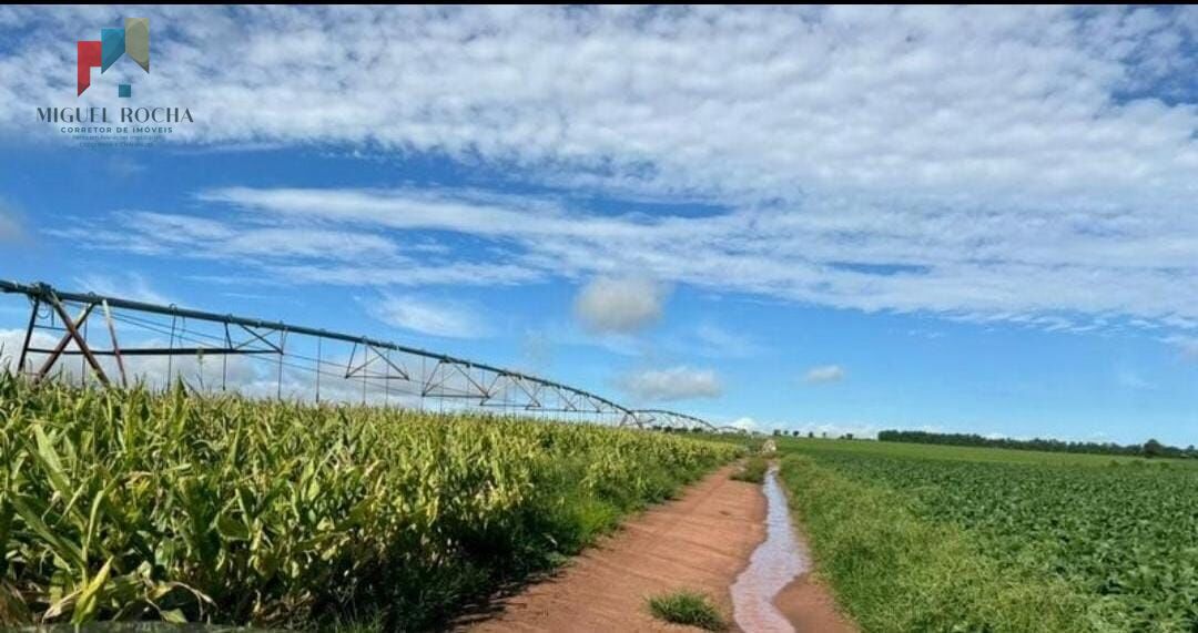 Fazenda região de Avaré SP - foto 18