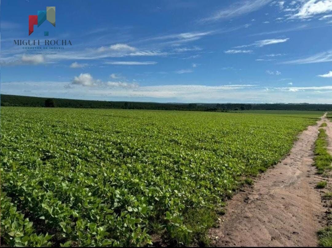 Fazenda região de Avaré SP - foto 1