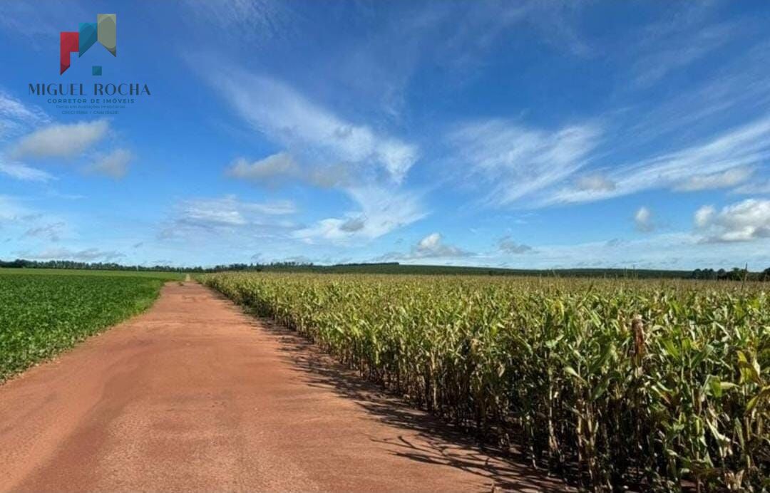 Fazenda região de Avaré SP - foto 11