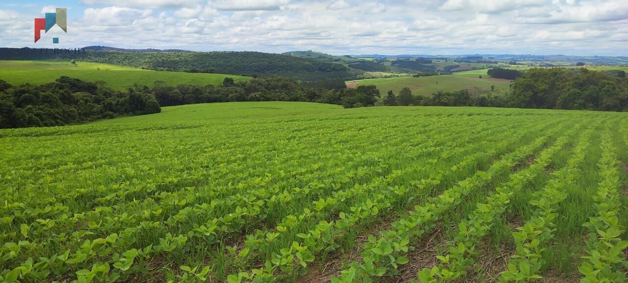 Sítio a venda em Itararé SP