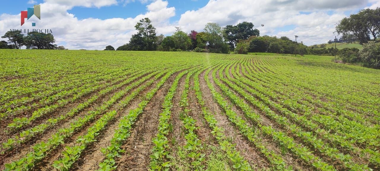 Sítio a venda em Itararé SP
