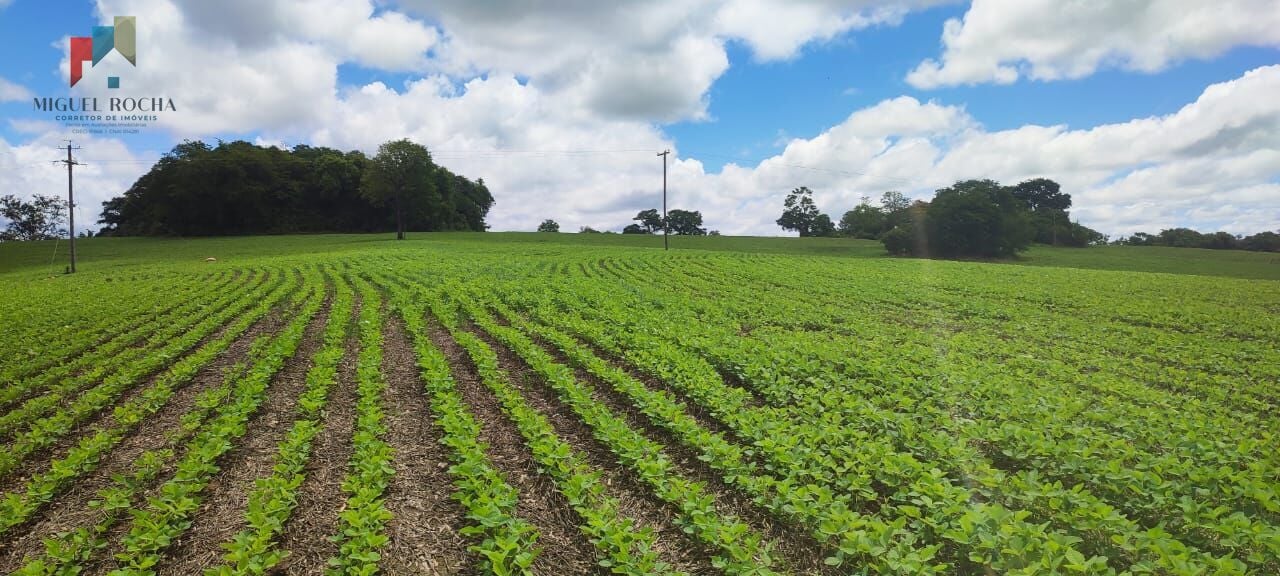 Sítio a venda em Itararé SP