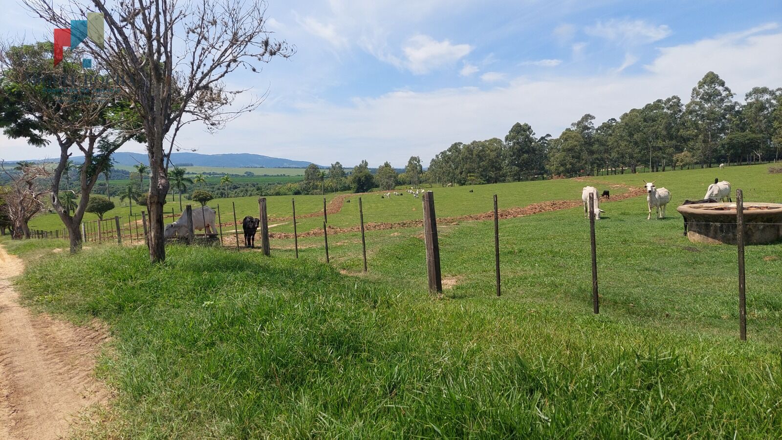 Fazenda a venda região de Tatuí SP