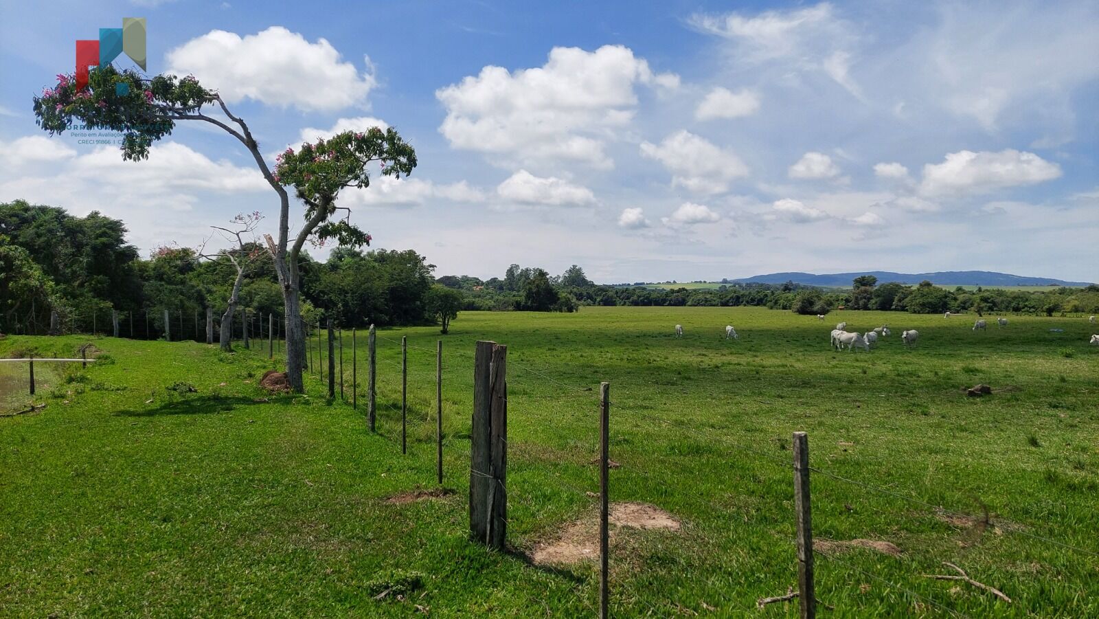 Fazenda a venda região de Tatuí SP