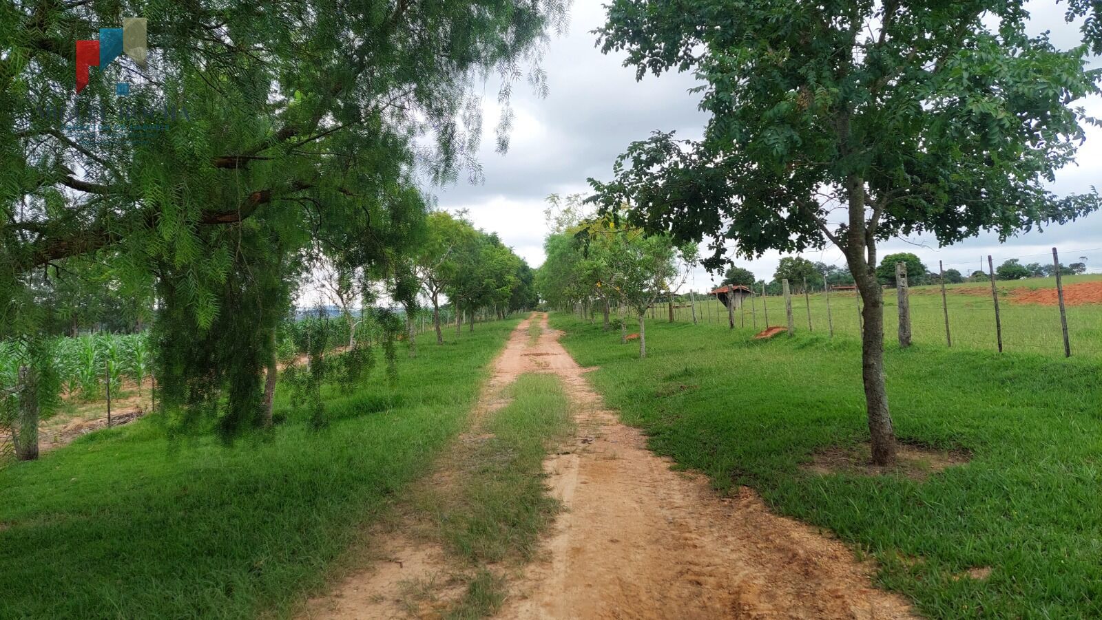 Fazenda a venda região de Tatuí SP