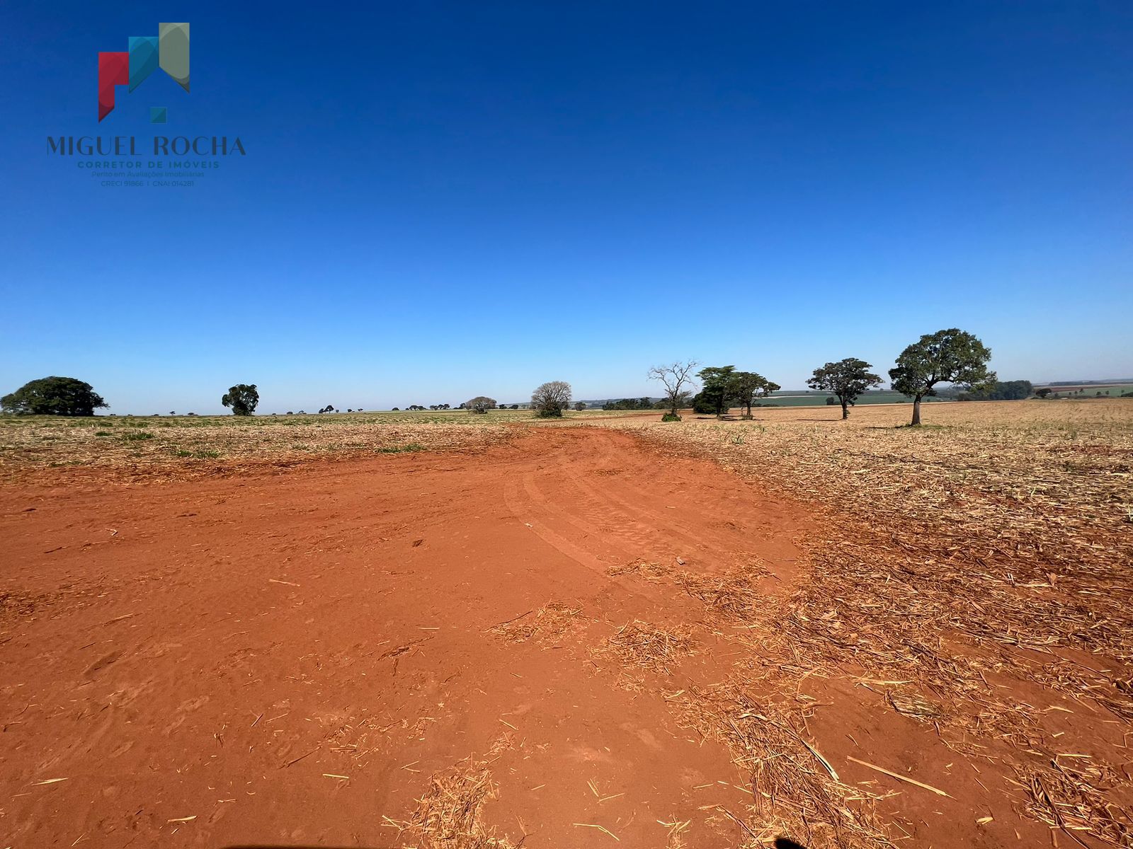 Fazenda região de Avaré SP - foto 6