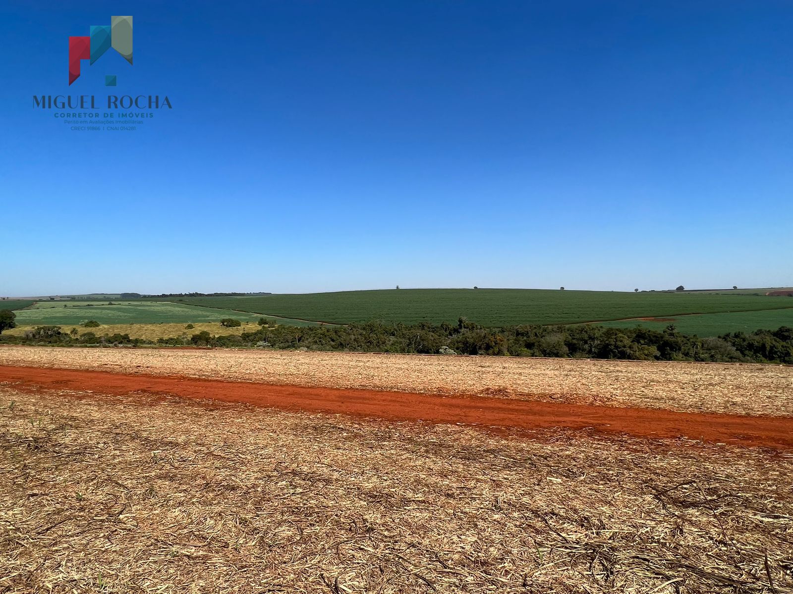 Fazenda região de Avaré SP - foto 2
