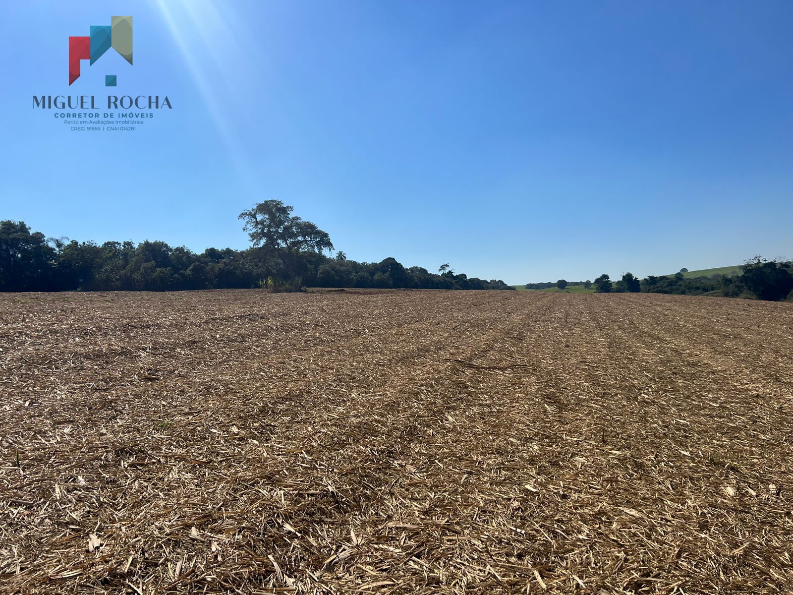 Fazenda região de Avaré SP - foto 3