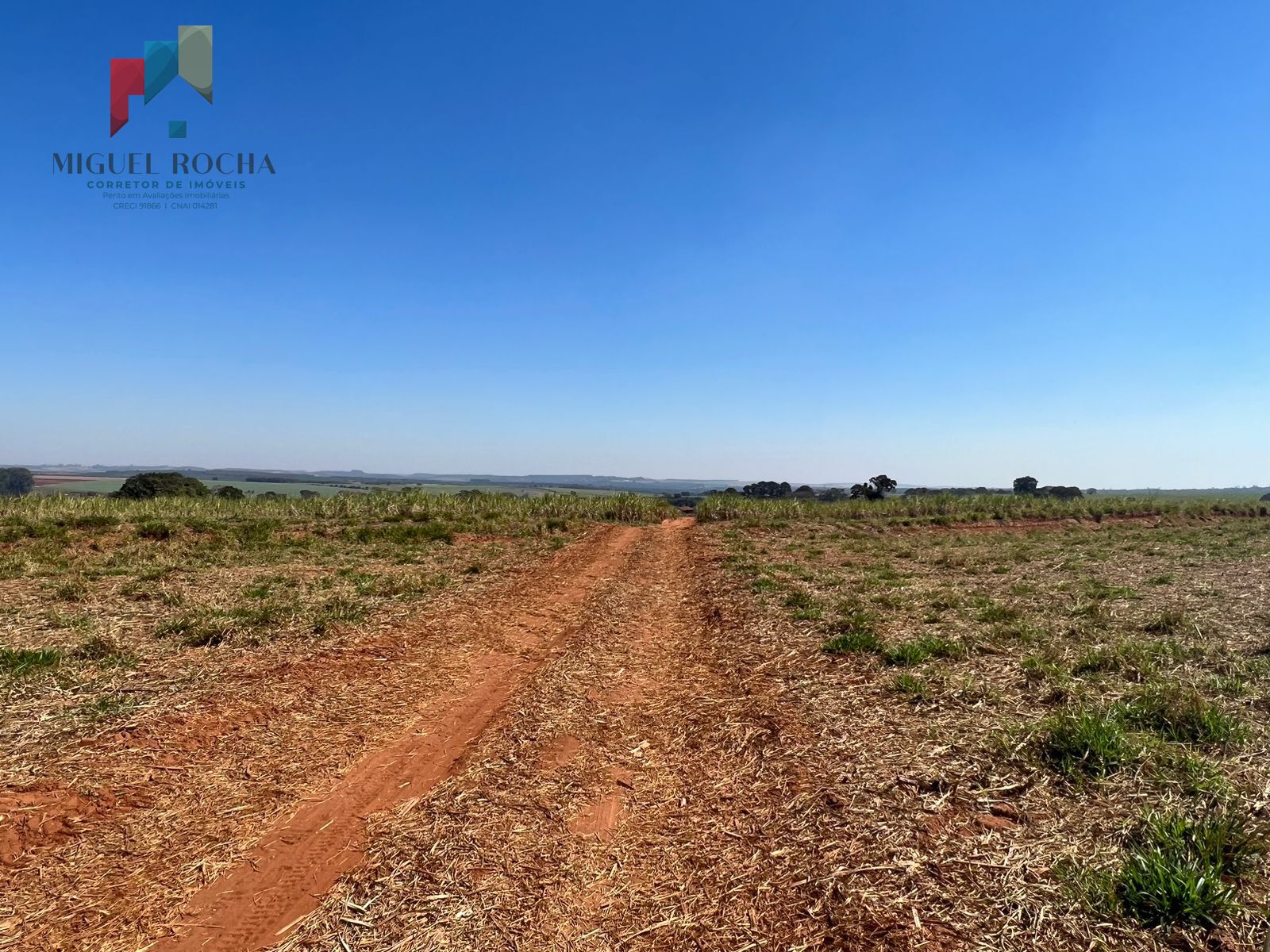 Fazenda região de Avaré SP - foto 4