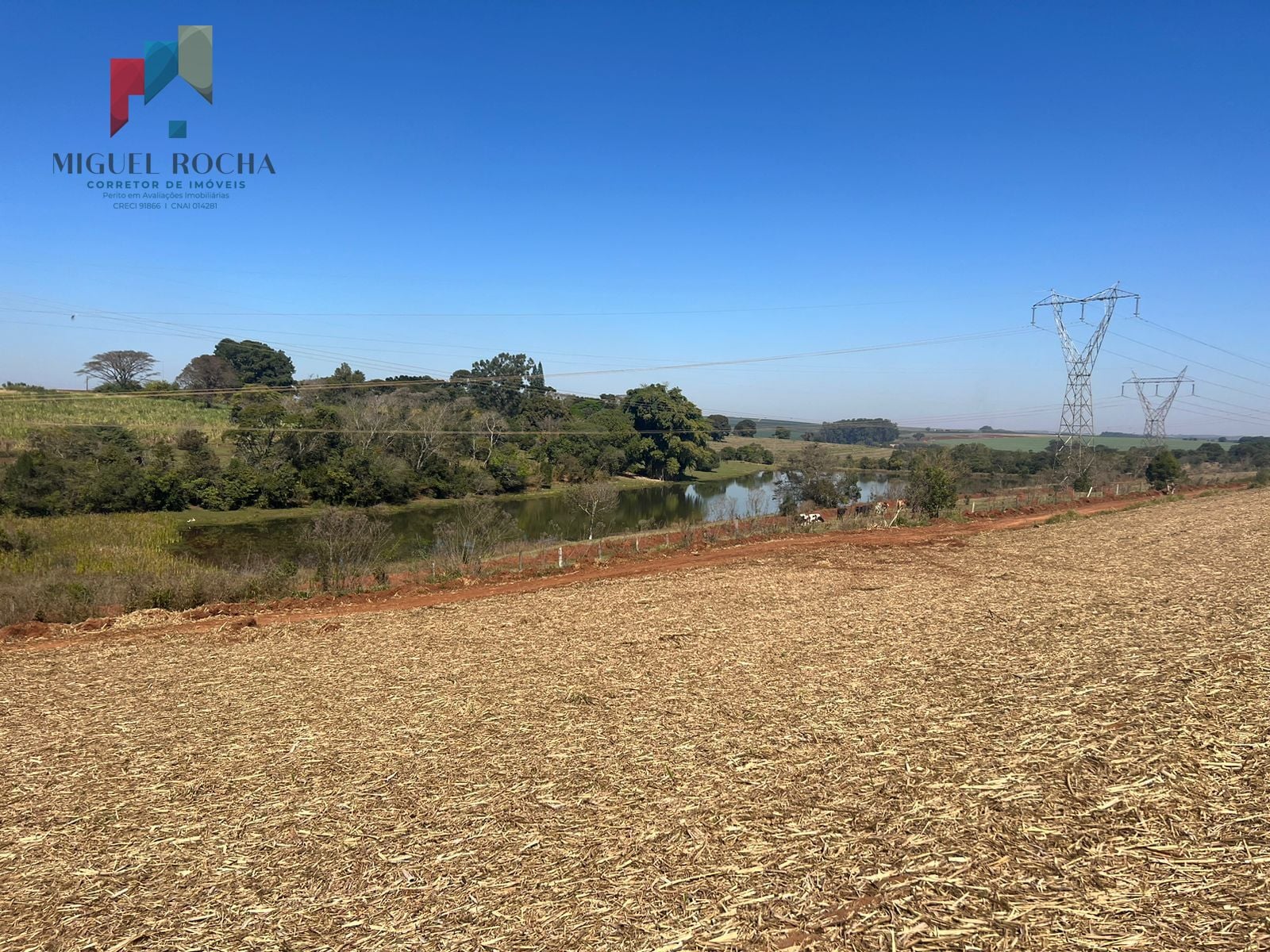 Fazenda região de Avaré SP - foto 1
