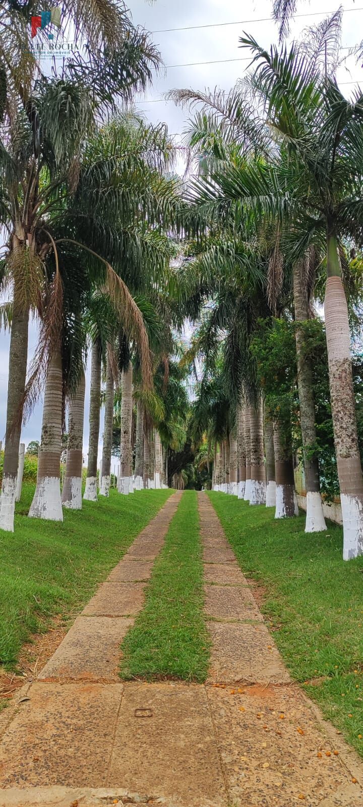 Sítio região Itapetininga SP