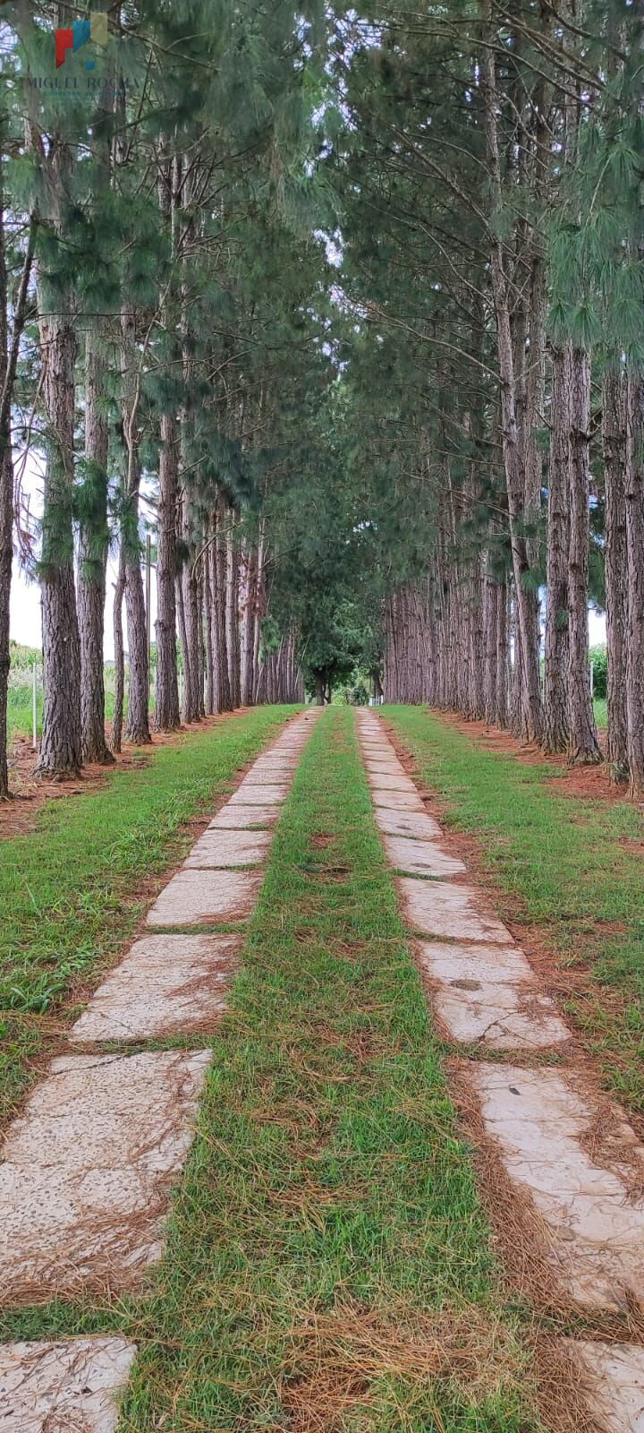 Sítio região Itapetininga SP