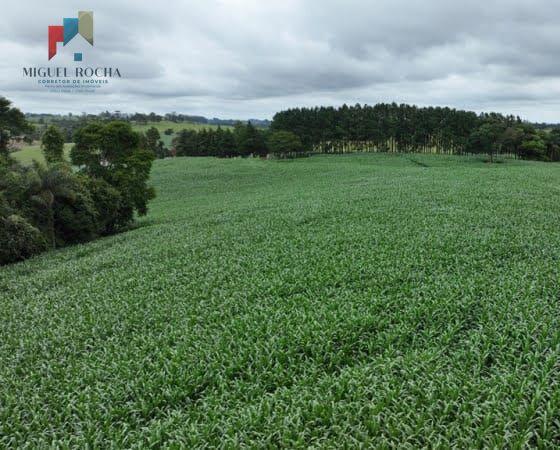 Sítio região Itapetininga SP