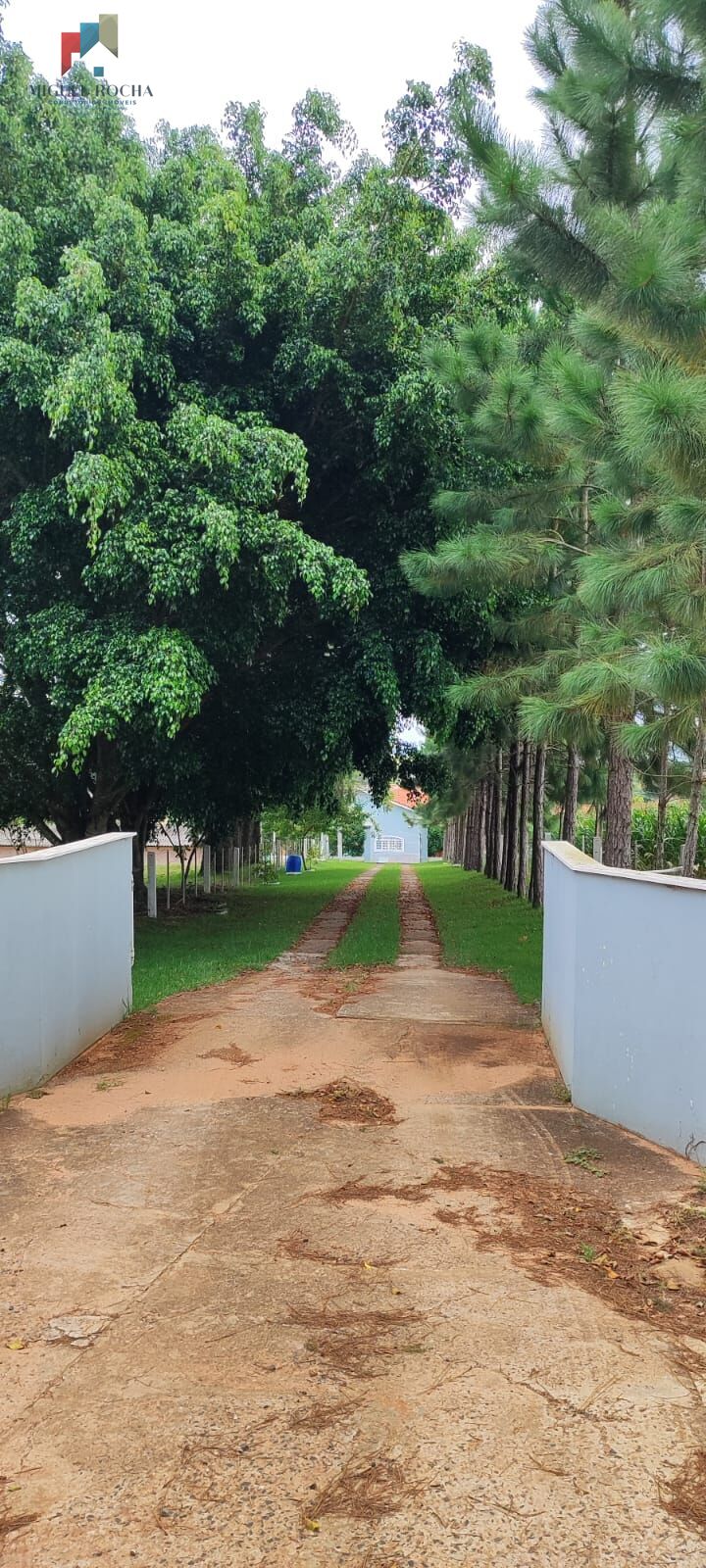 Sítio região Itapetininga SP