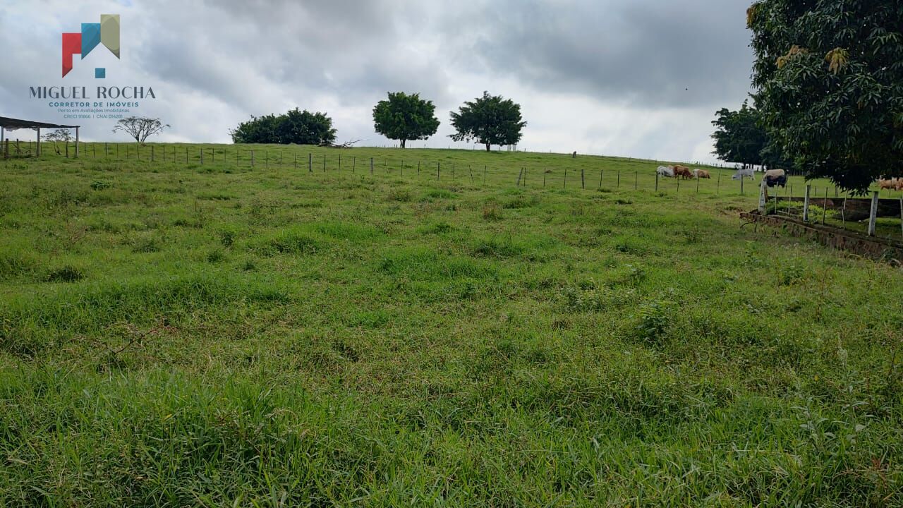 Fazenda região Itapetininga SP