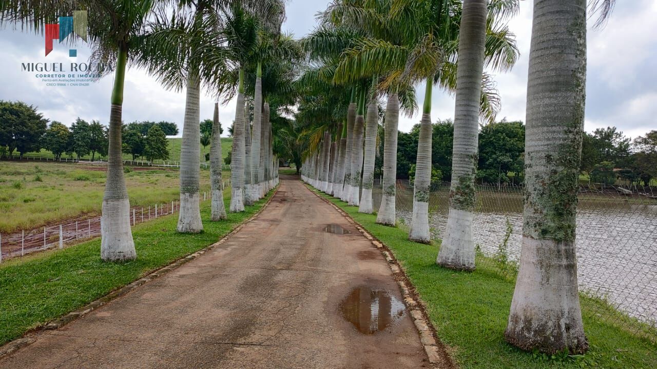 Fazenda região Itapetininga SP