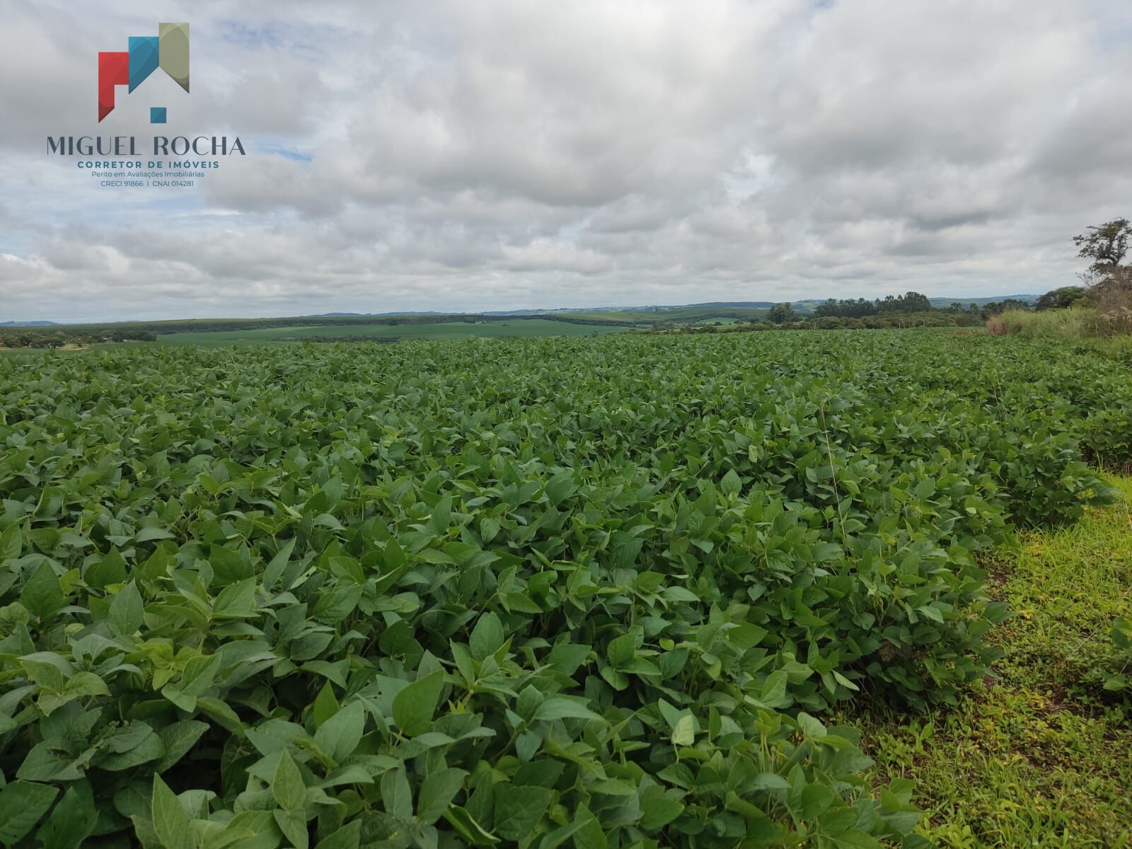 Fazenda região Itapetininga SP