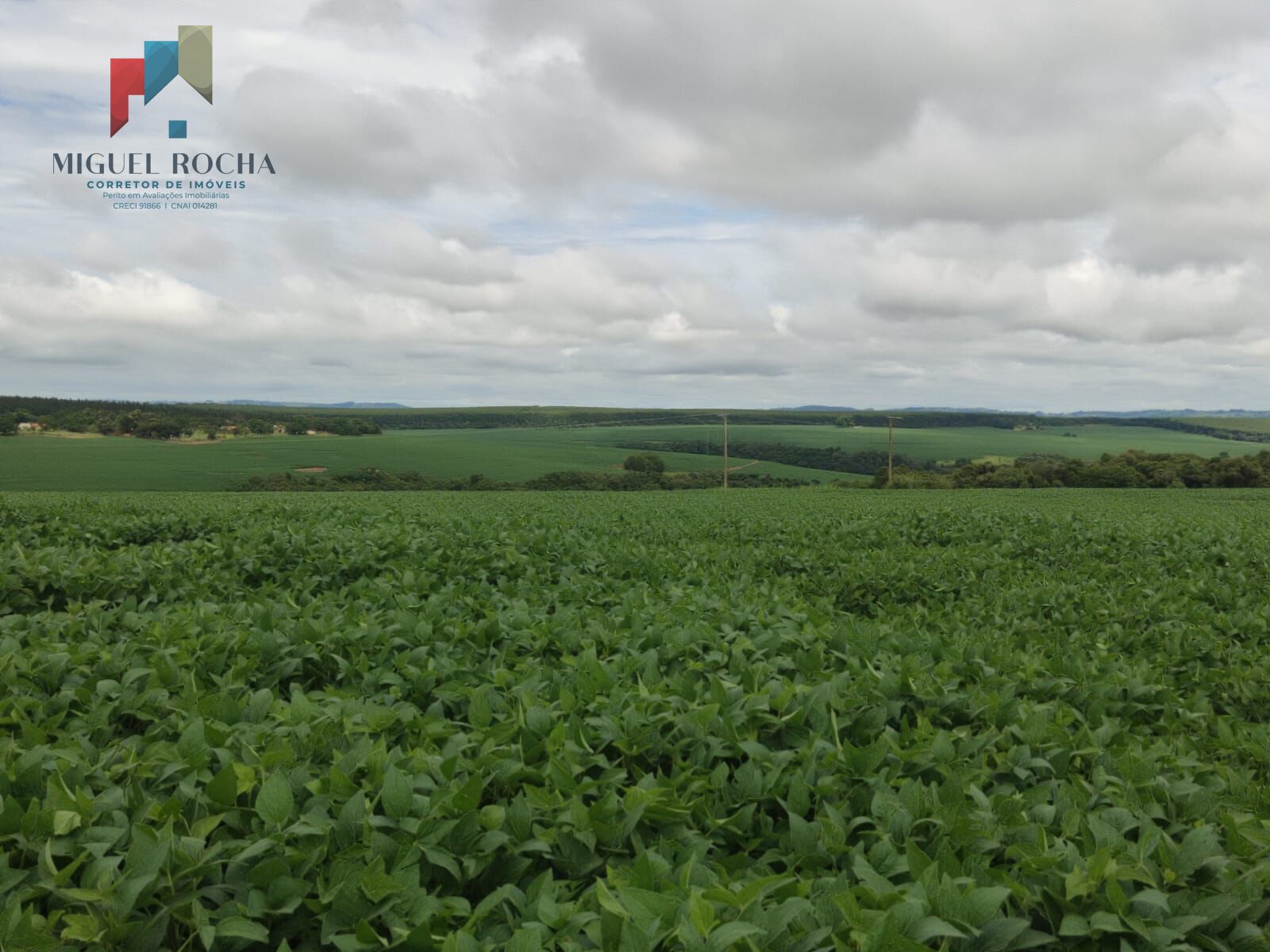 Fazenda região Itapetininga SP