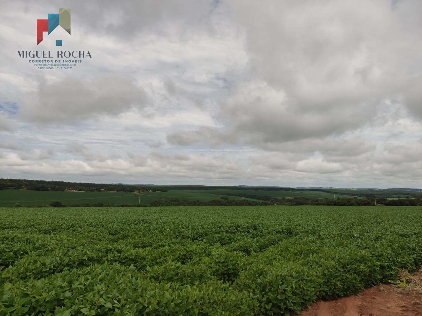 Fazenda região Itapetininga SP