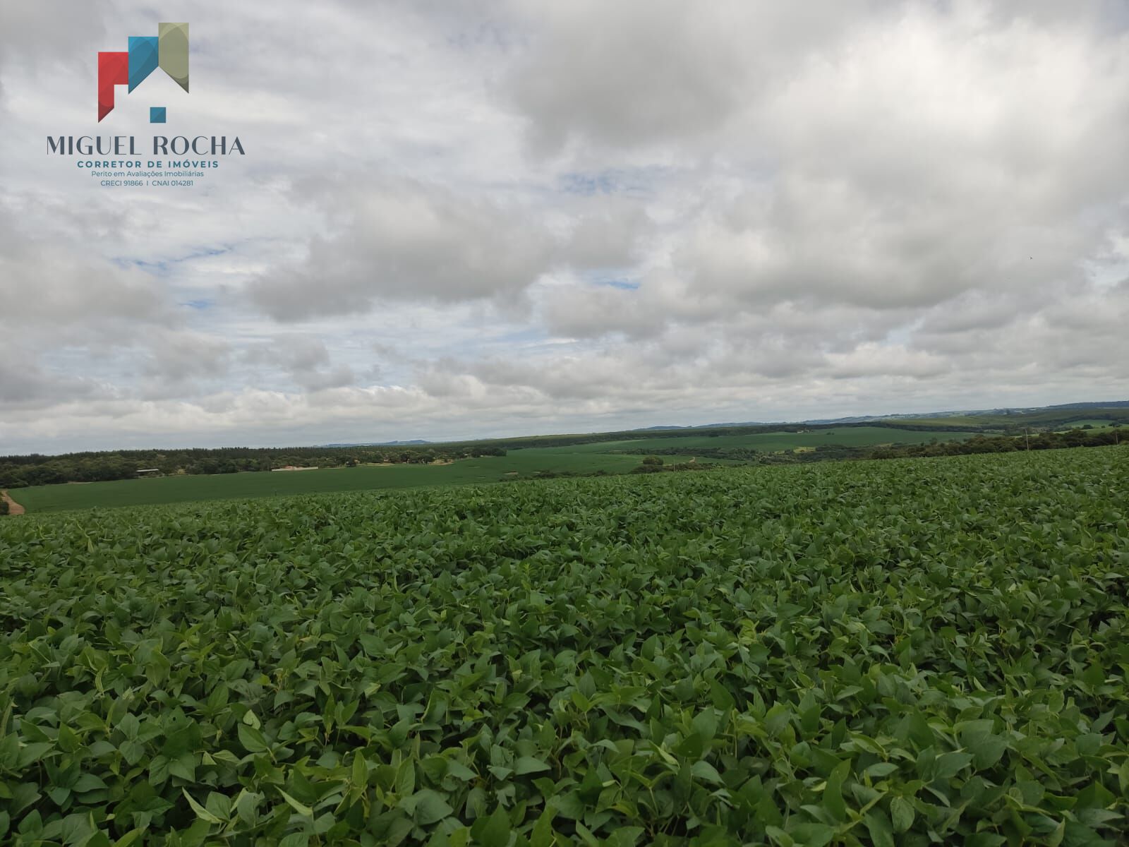 Fazenda região Itapetininga SP
