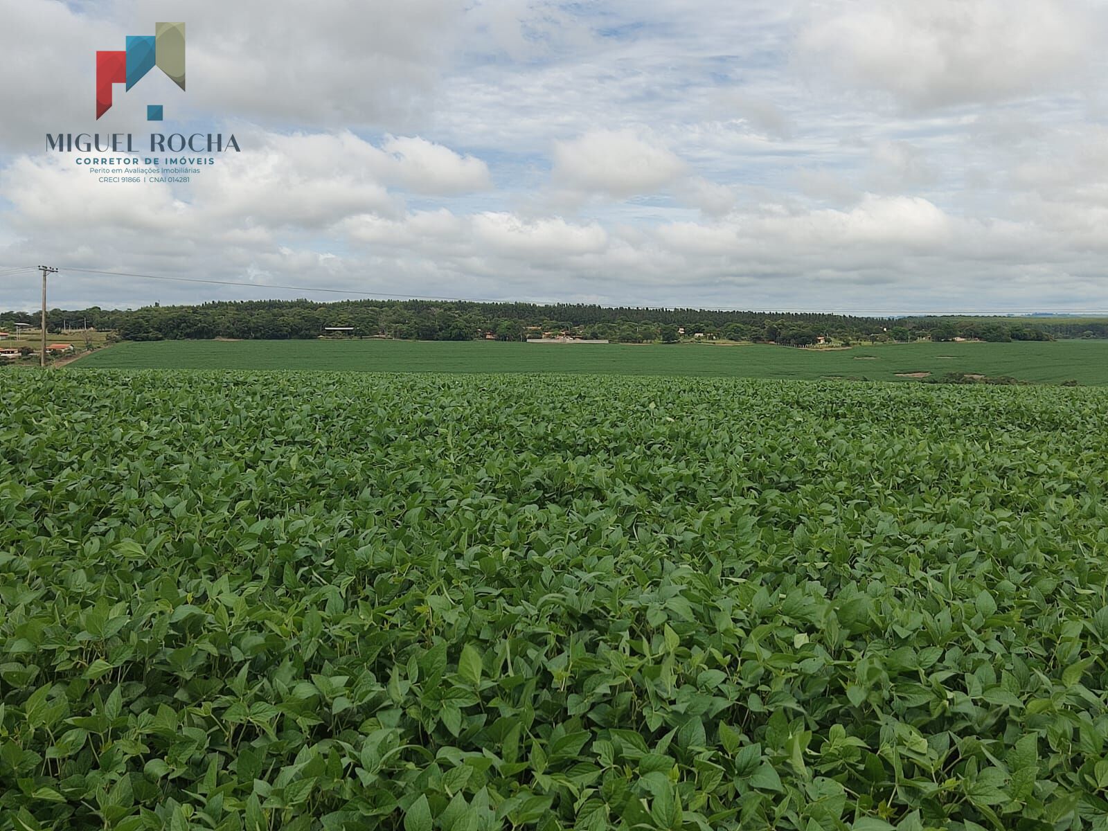 Fazenda região Itapetininga SP