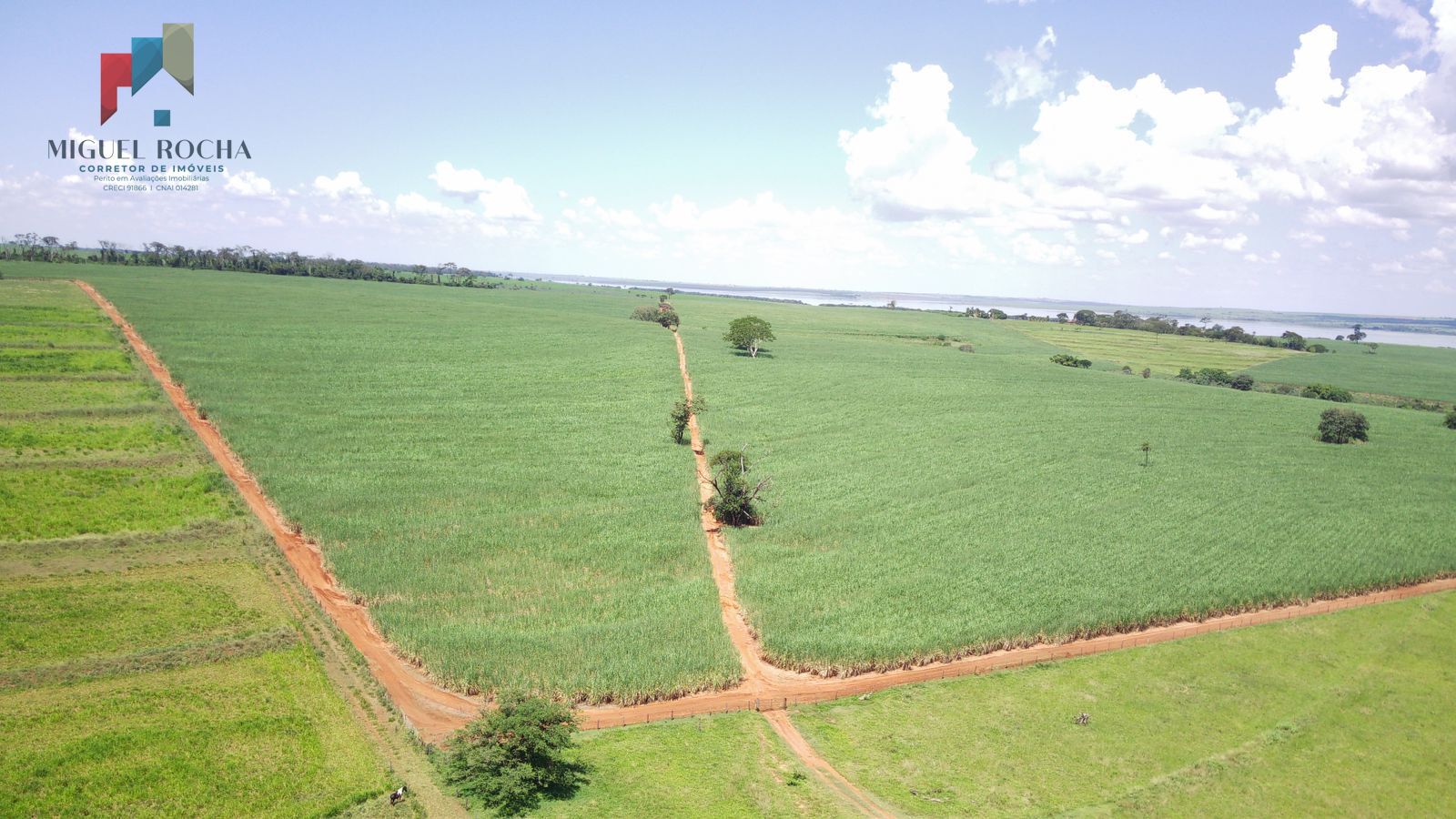 Fazenda a venda