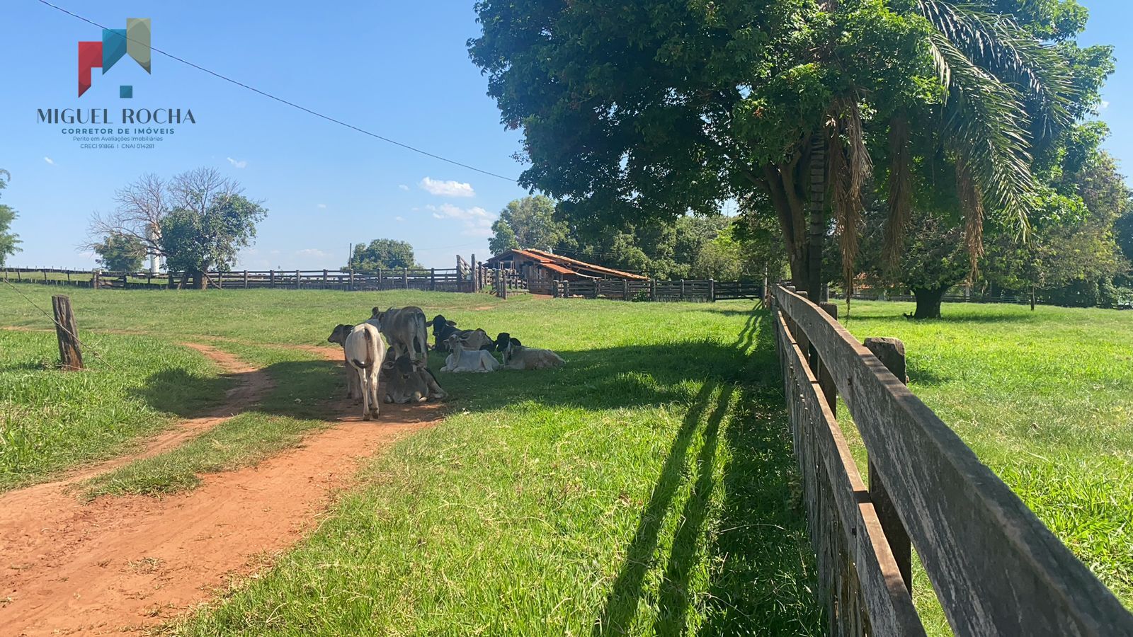 Fazenda a venda