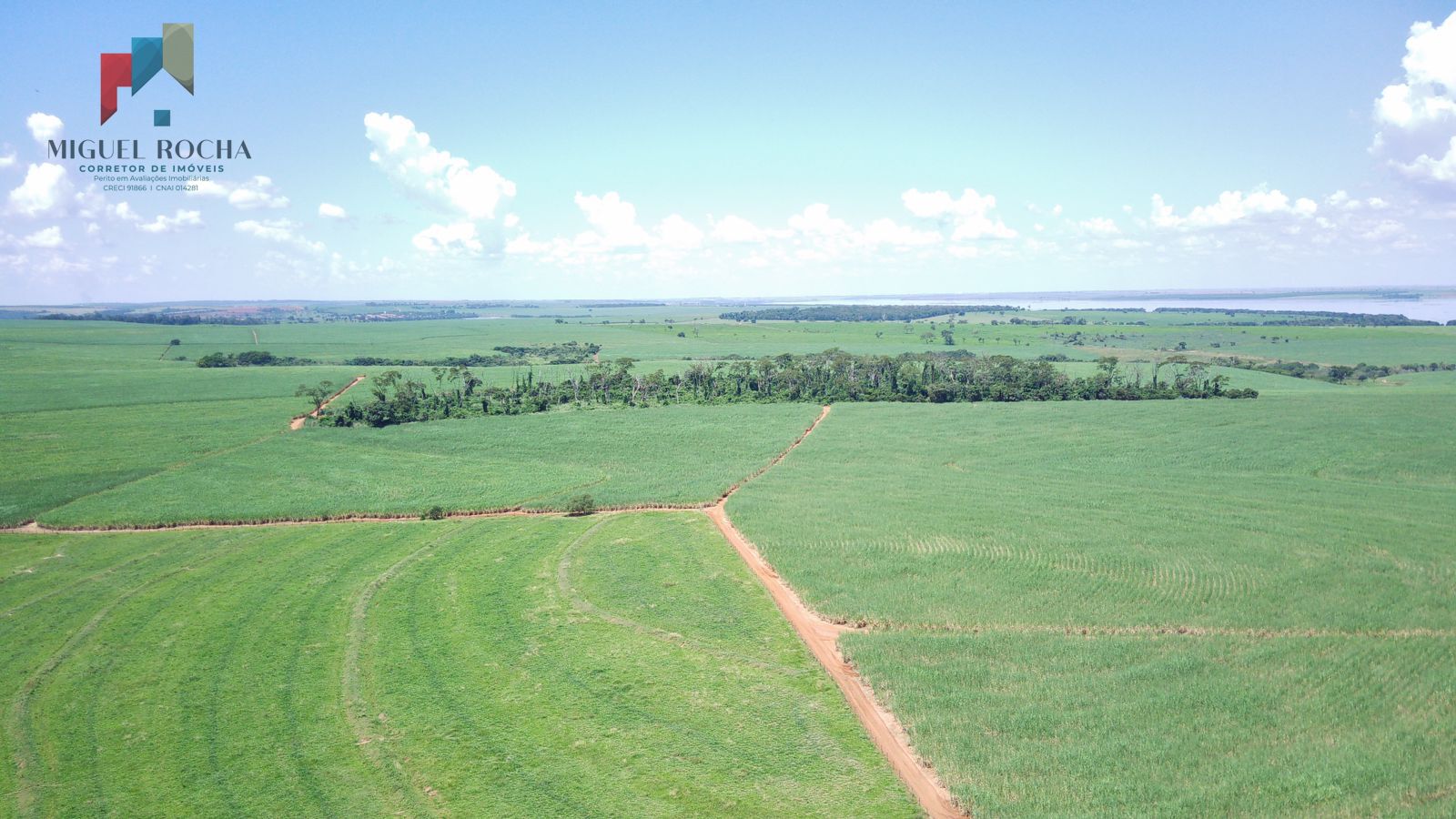 Fazenda a venda