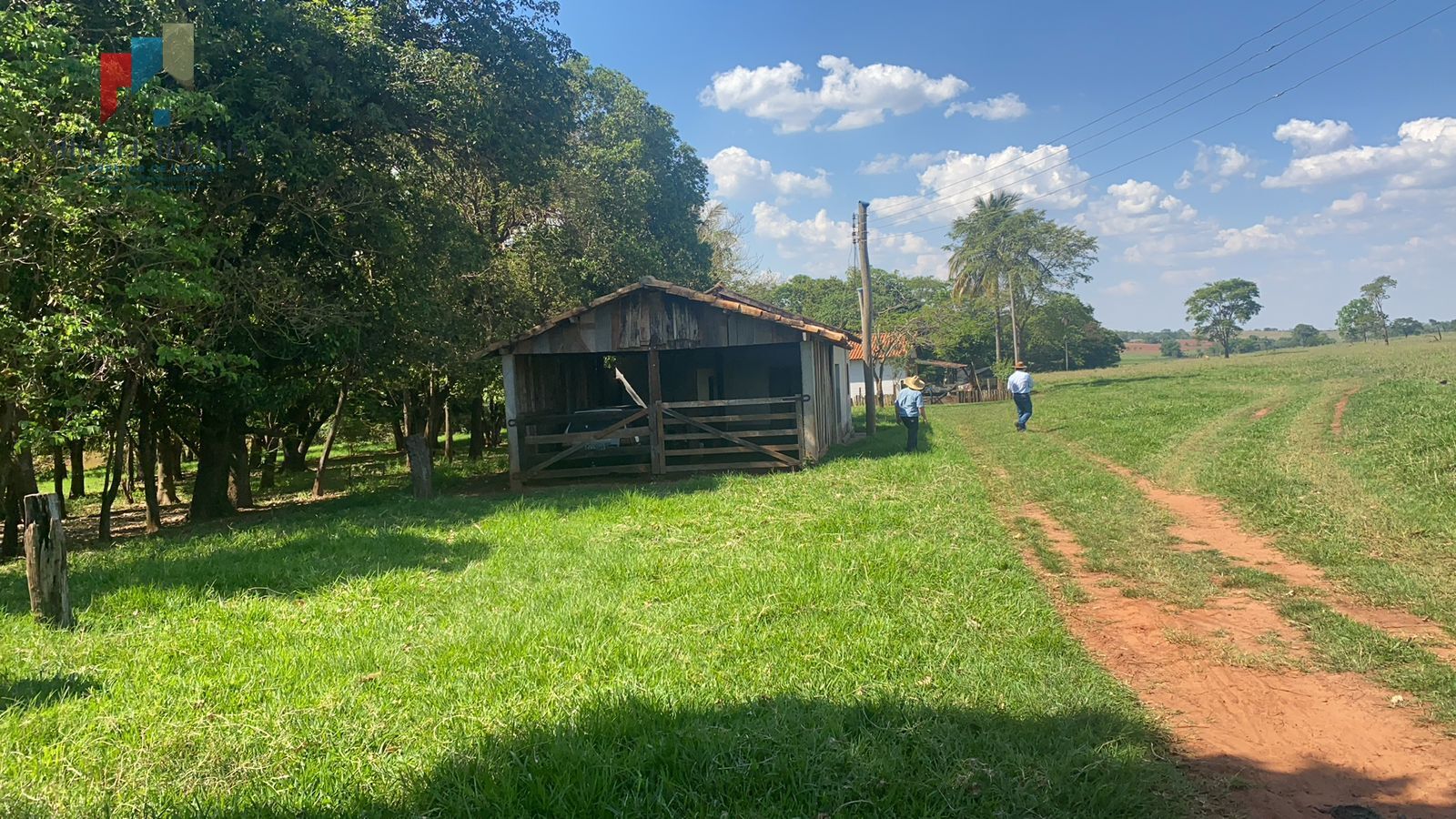 Fazenda a venda