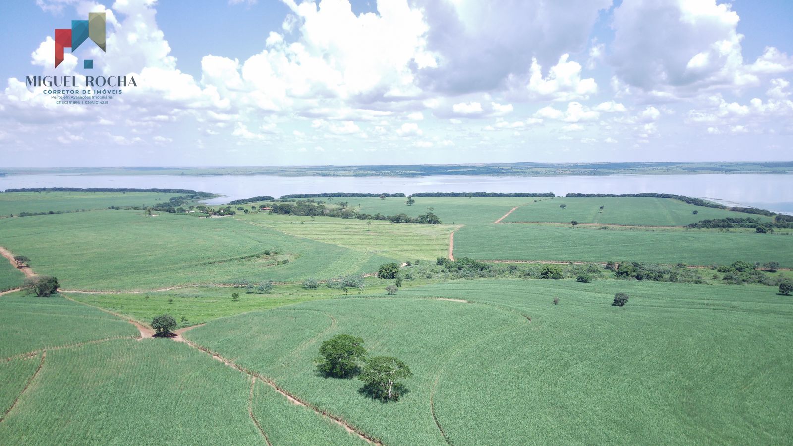 Fazenda a venda