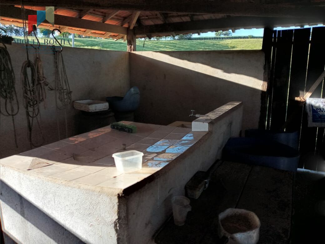 Sítio 15 alqueires Paulista Tatuí SP