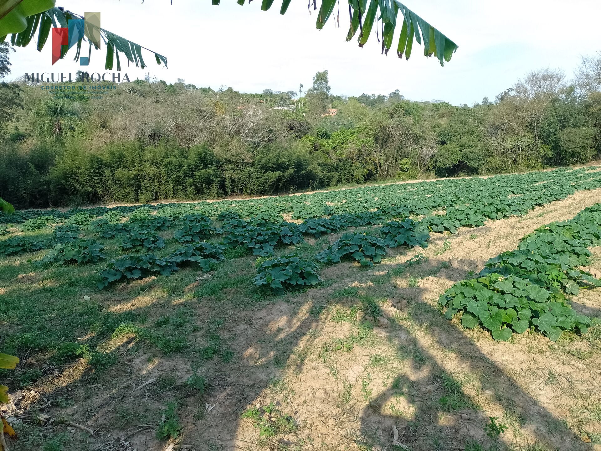 Terreno à venda no bairro Santuário Nossa Senhora de Fátima - Tatuí/SP