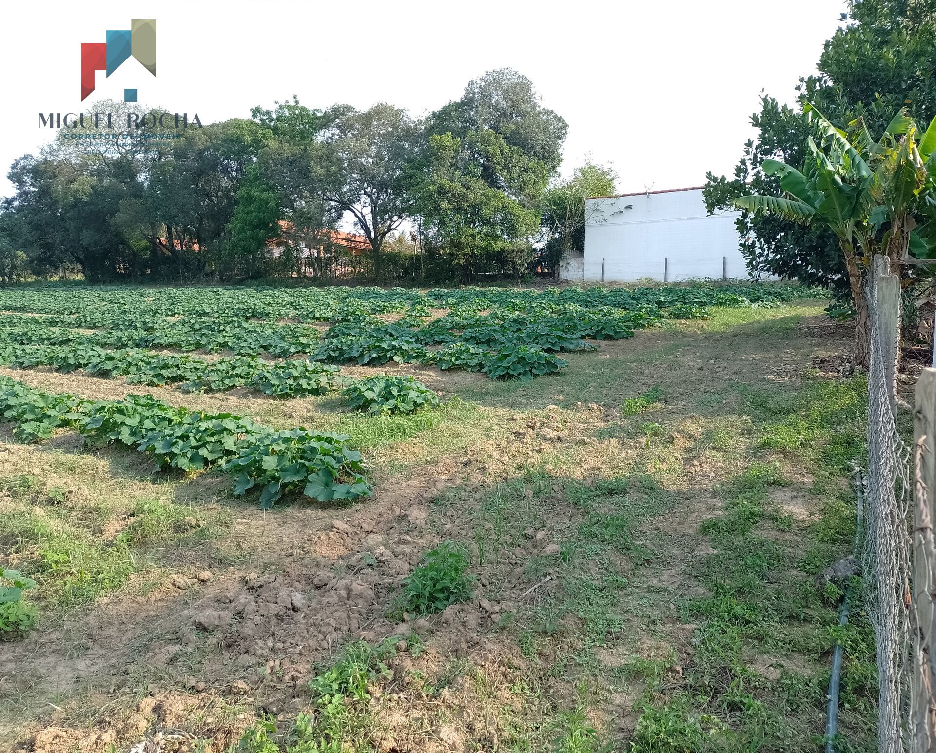 Terreno à venda no bairro Santuário Nossa Senhora de Fátima - Tatuí/SP