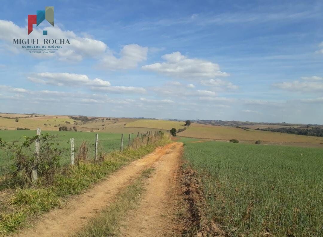 Fazenda Região de Tiête SP
