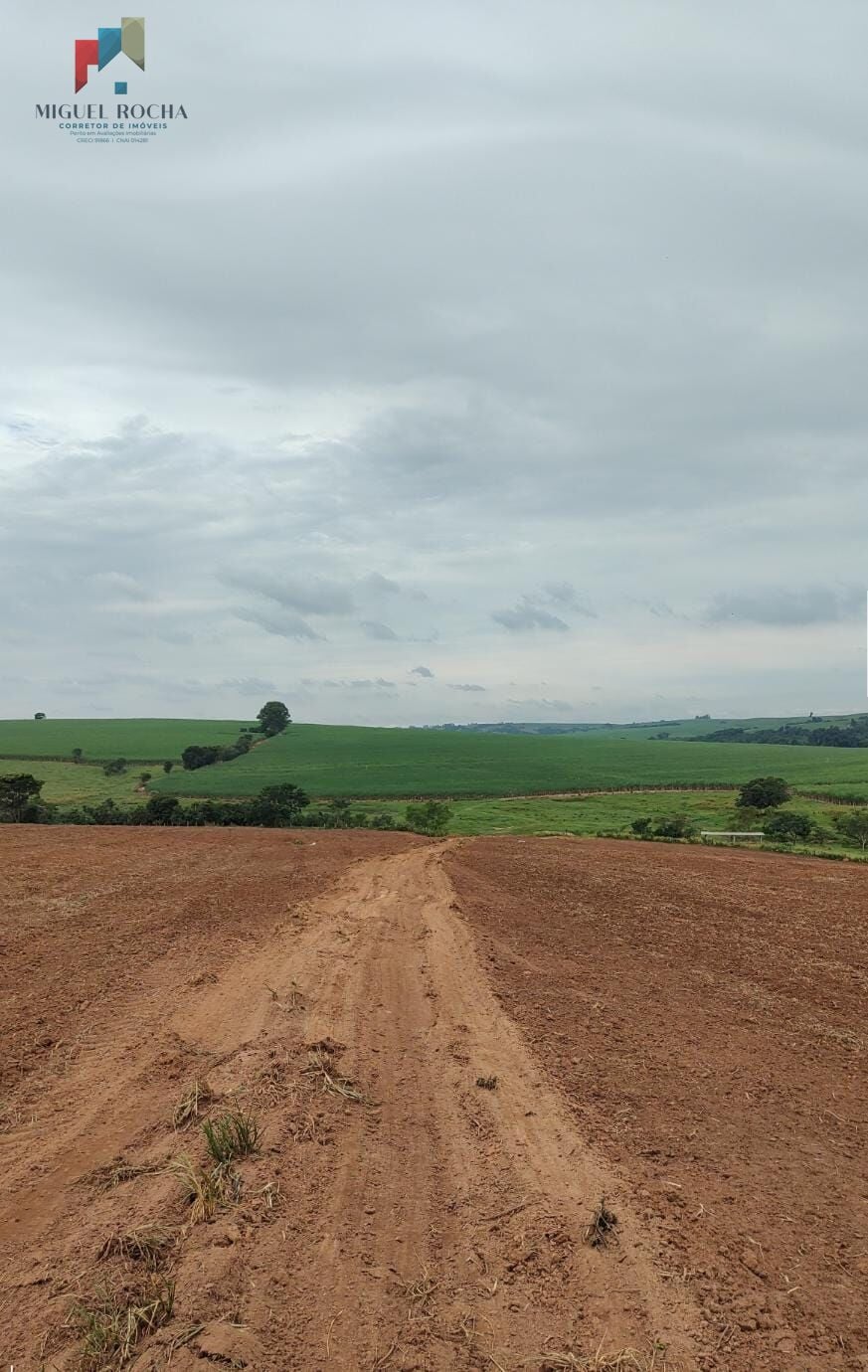 Fazenda Região de Tiête SP