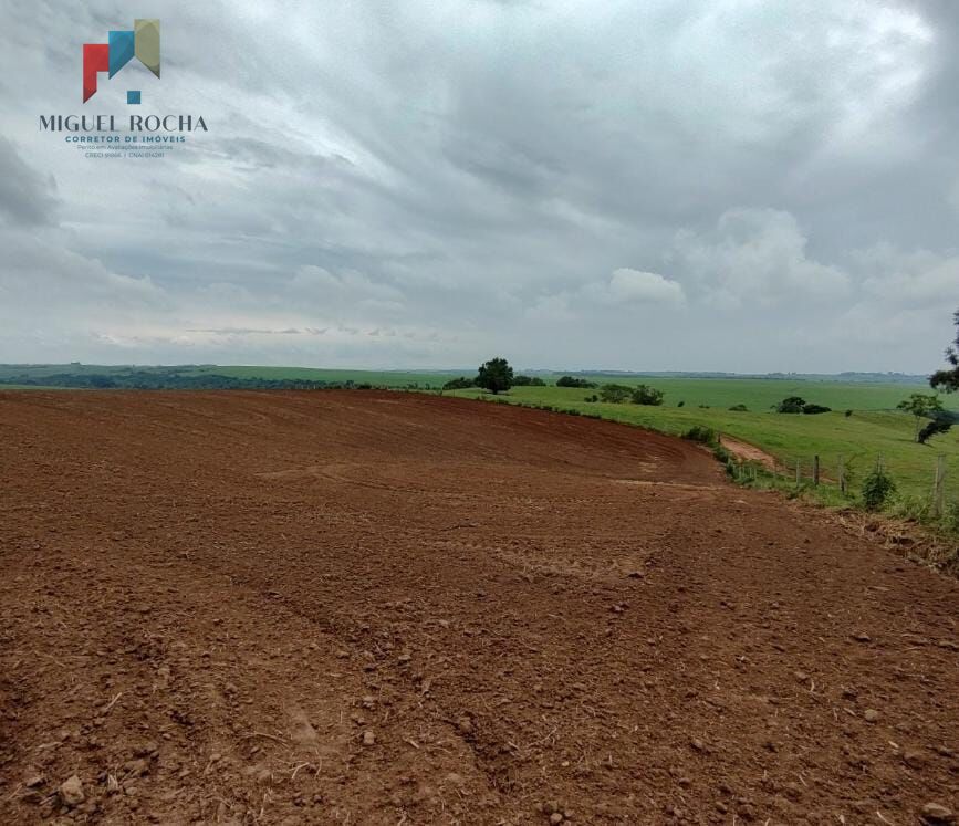 Fazenda Região de Tiête SP