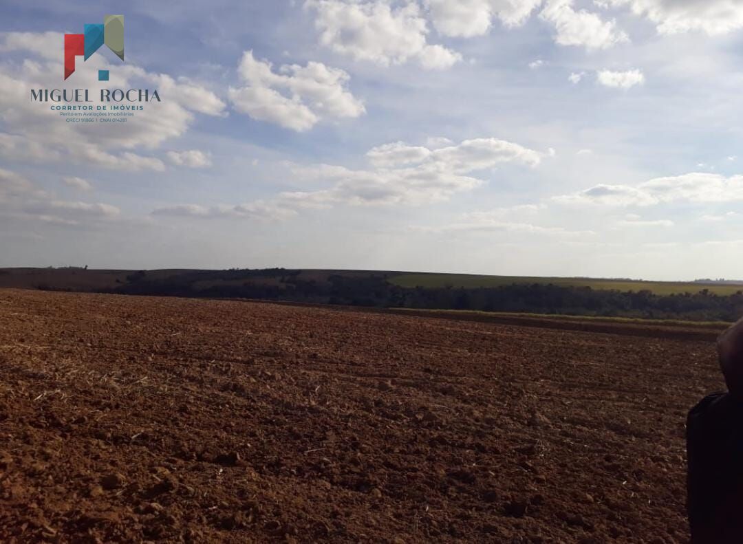 Fazenda Região de Tiête SP