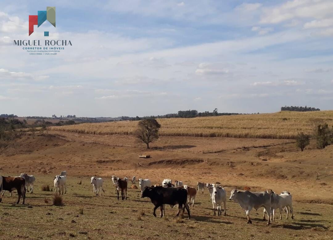 Fazenda Região de Tiête SP