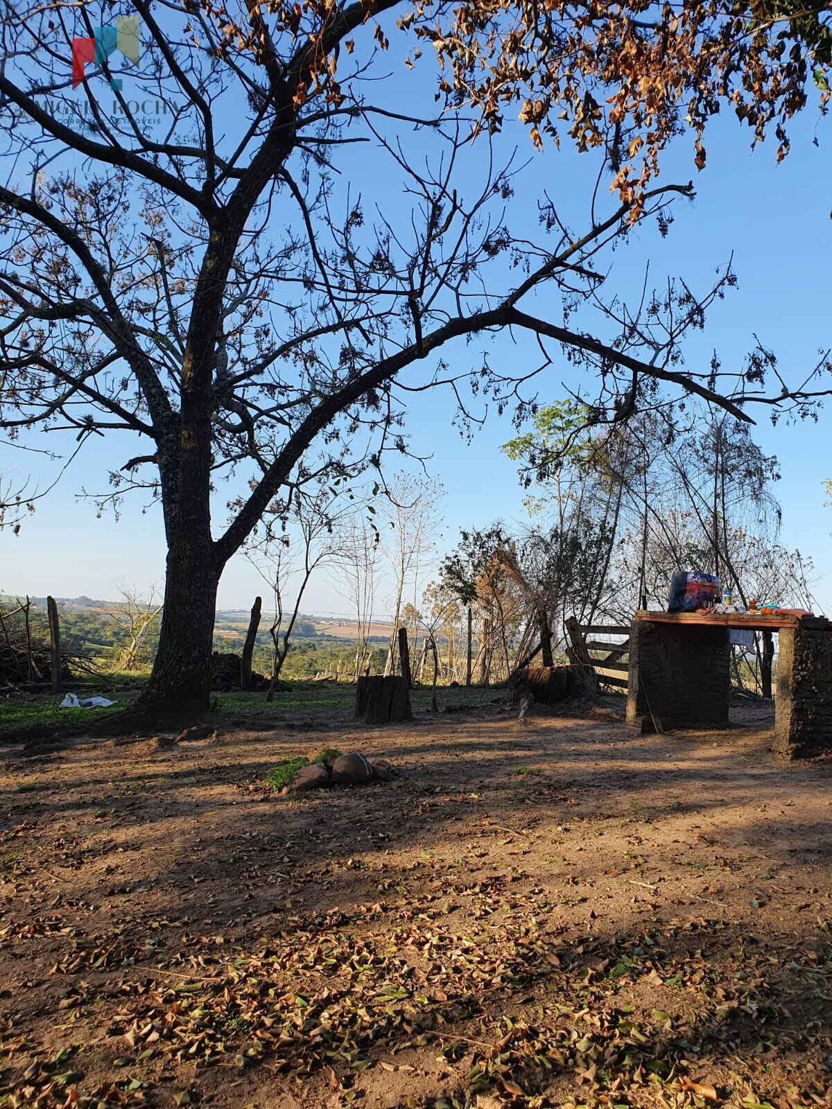 Sitio com 7 alqueires paulista Tatuí SP