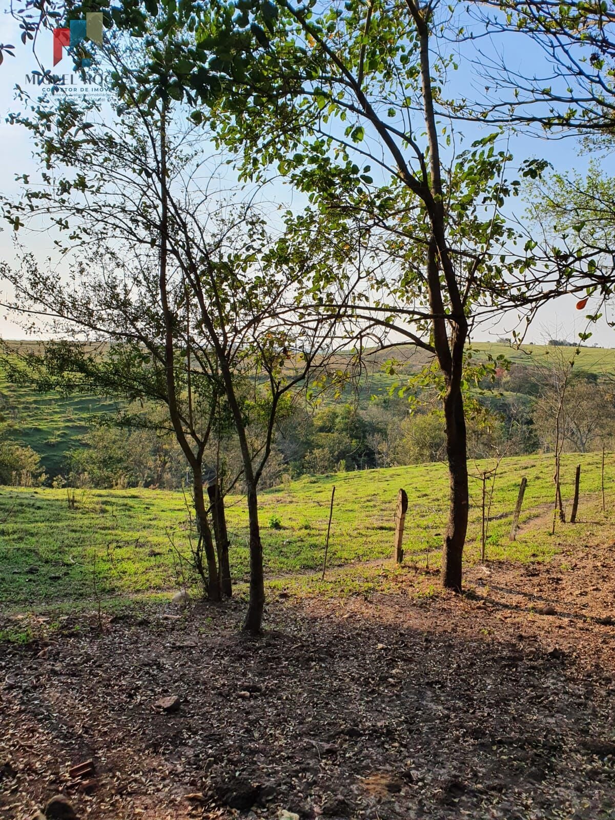 Sitio com 7 alqueires paulista Tatuí SP