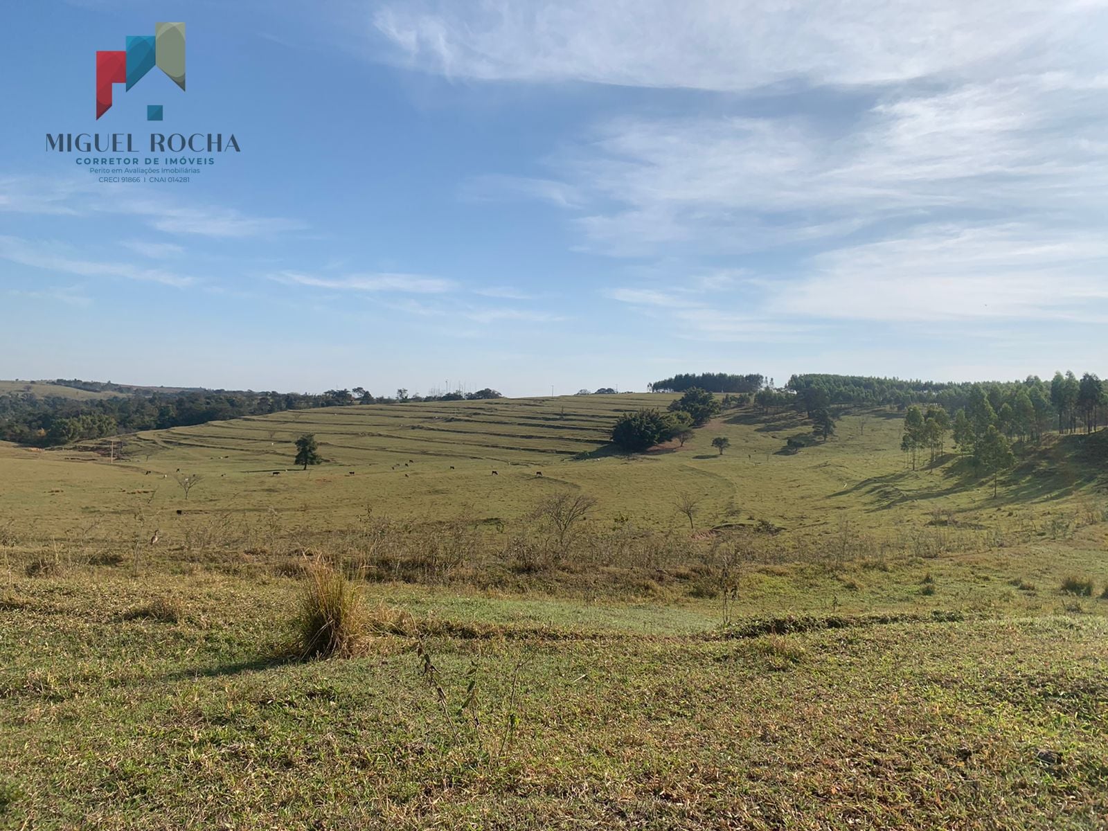 Fazenda a venda Região de Bauru SP - foto 15